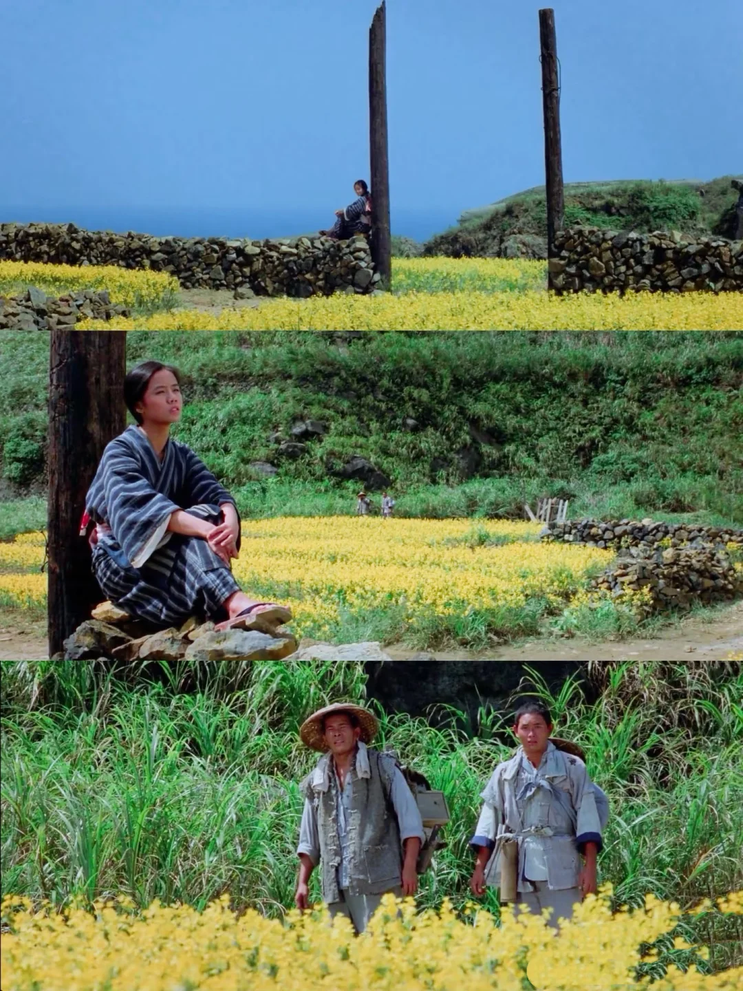 豆瓣9.2分😭我最爱的人生电影没有之一❗️