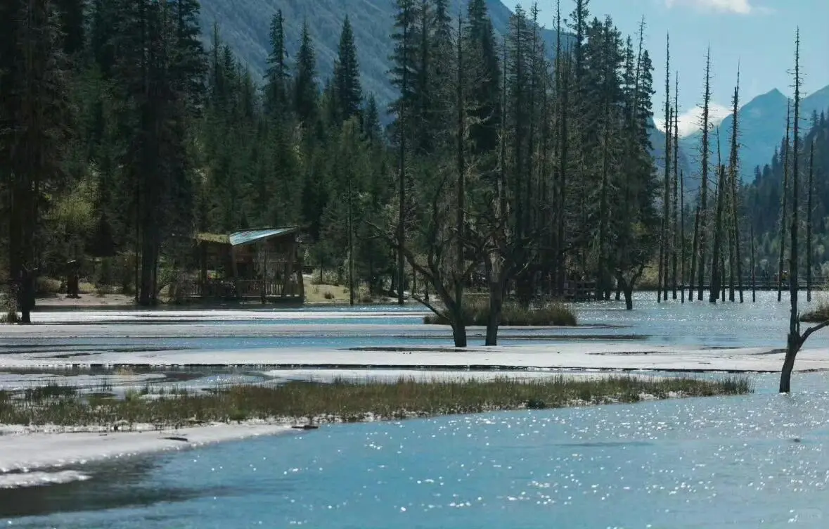 想象中的暑假被这40部电影改变了