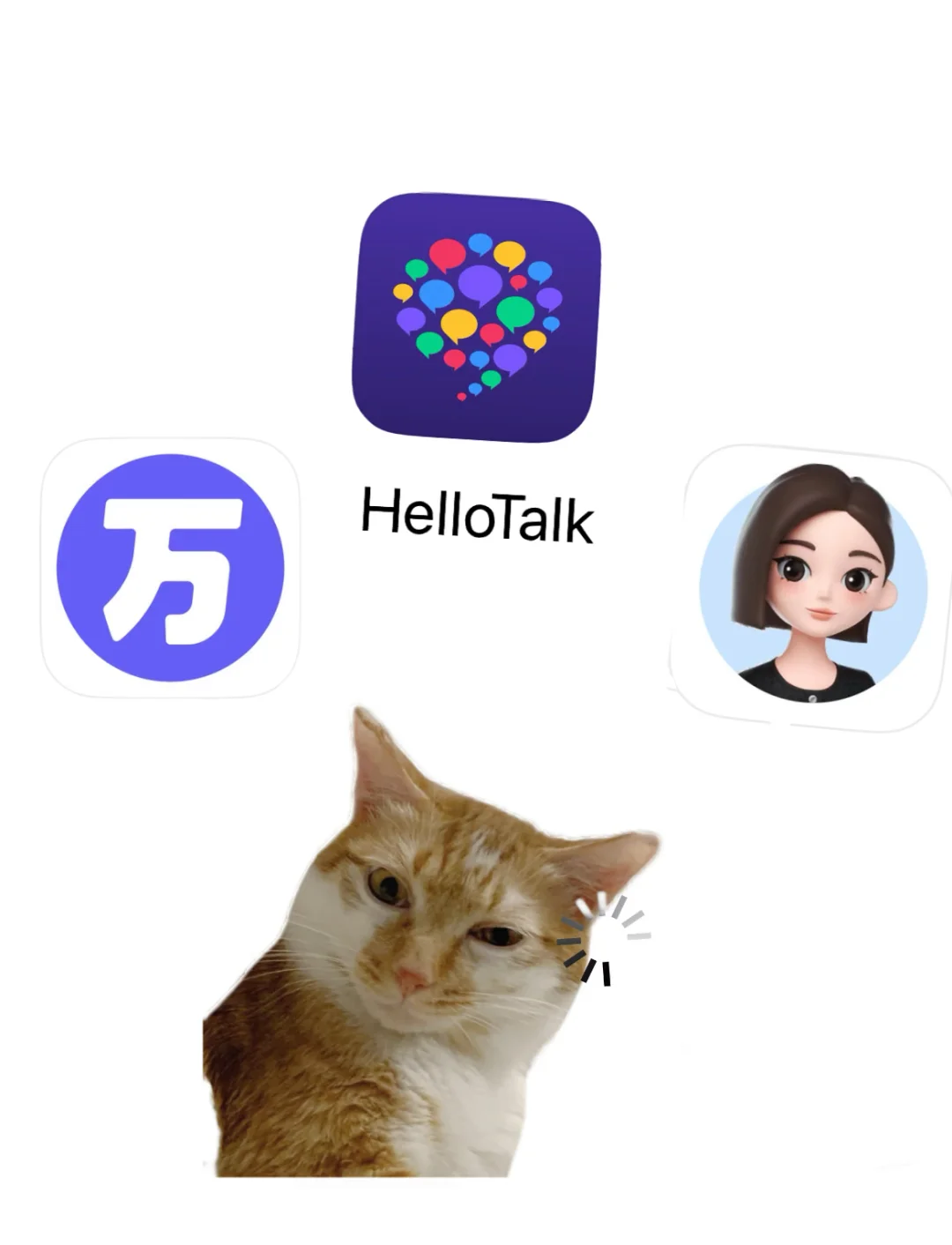 英专生看过来，能救命的app都在这了