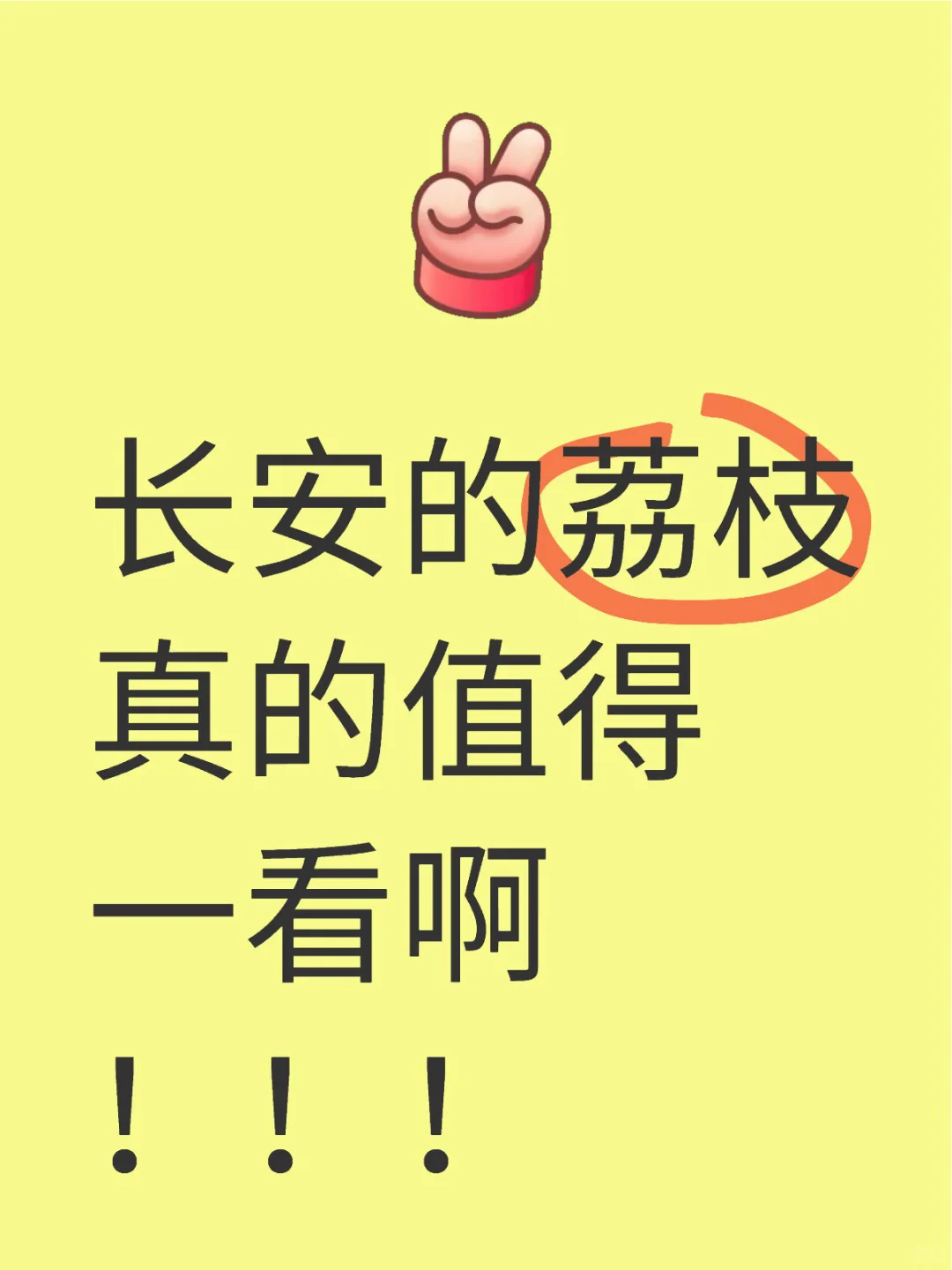 长安的荔枝目前今年国产最佳！！！