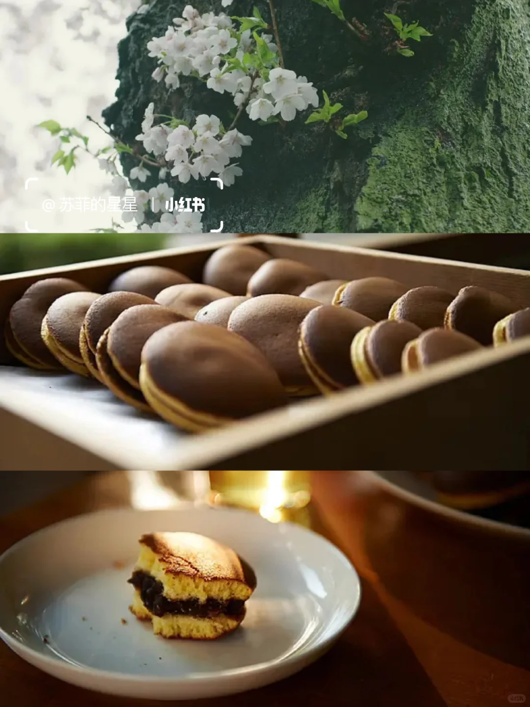 哭到泪崩😭今年看过最好看的电影❗❗❗