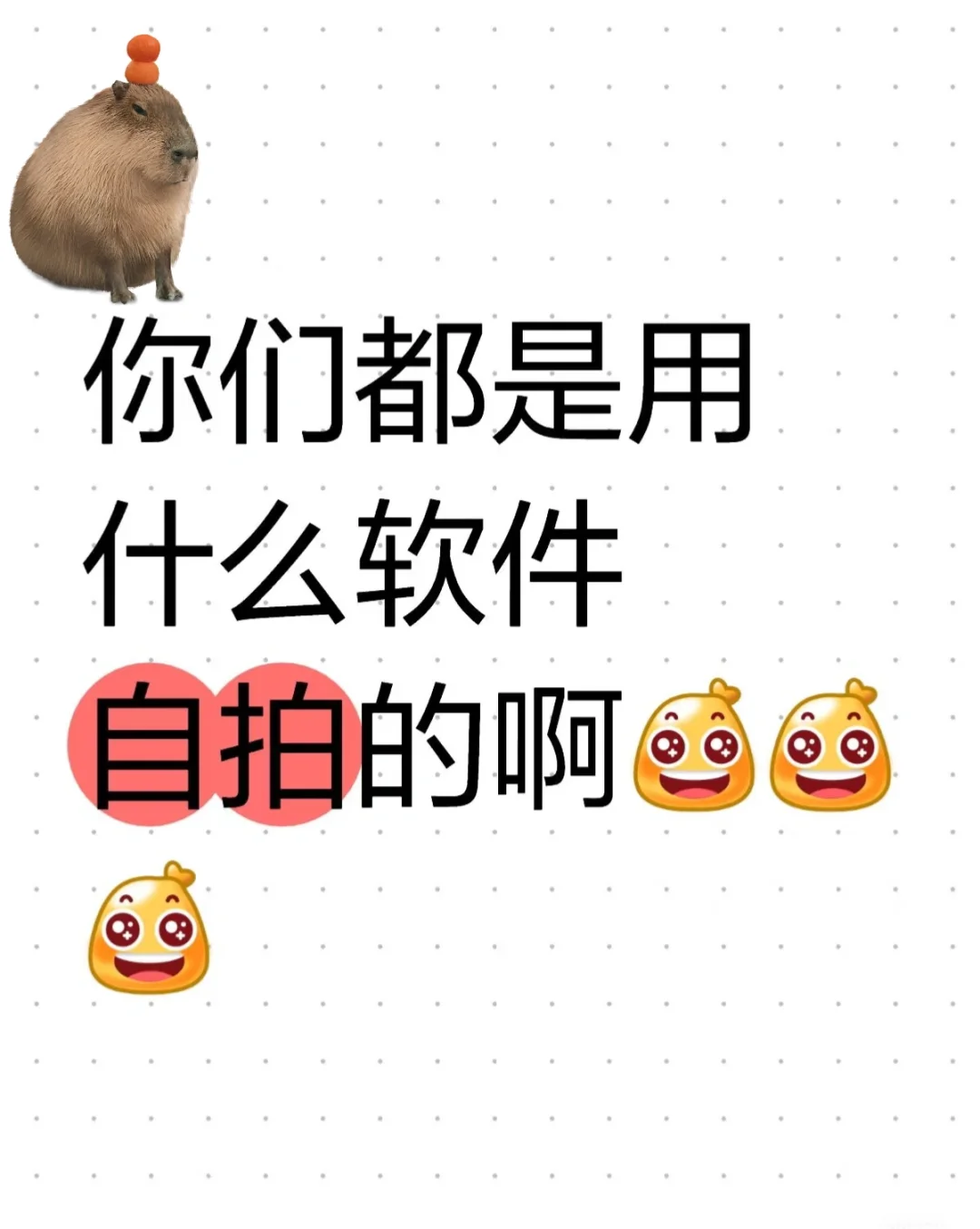 美女都用什么软件拍的啊～