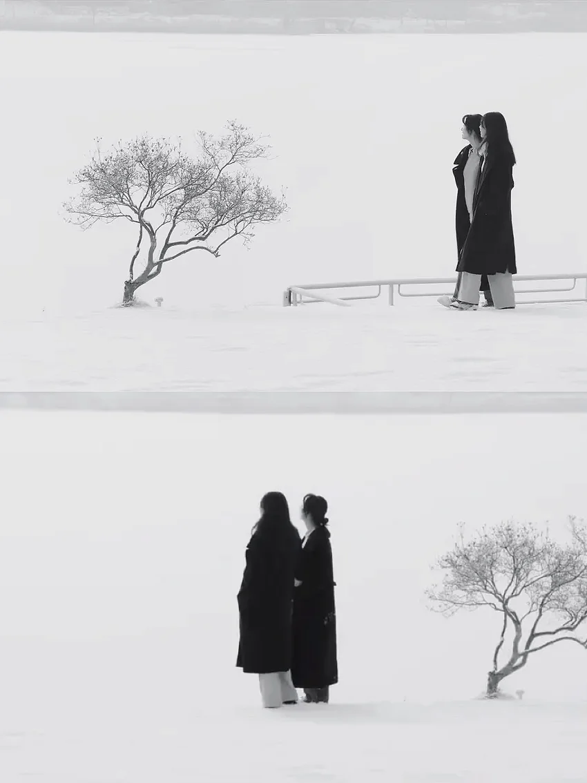 😭这么好看的电影我怎么才发现啊!!!