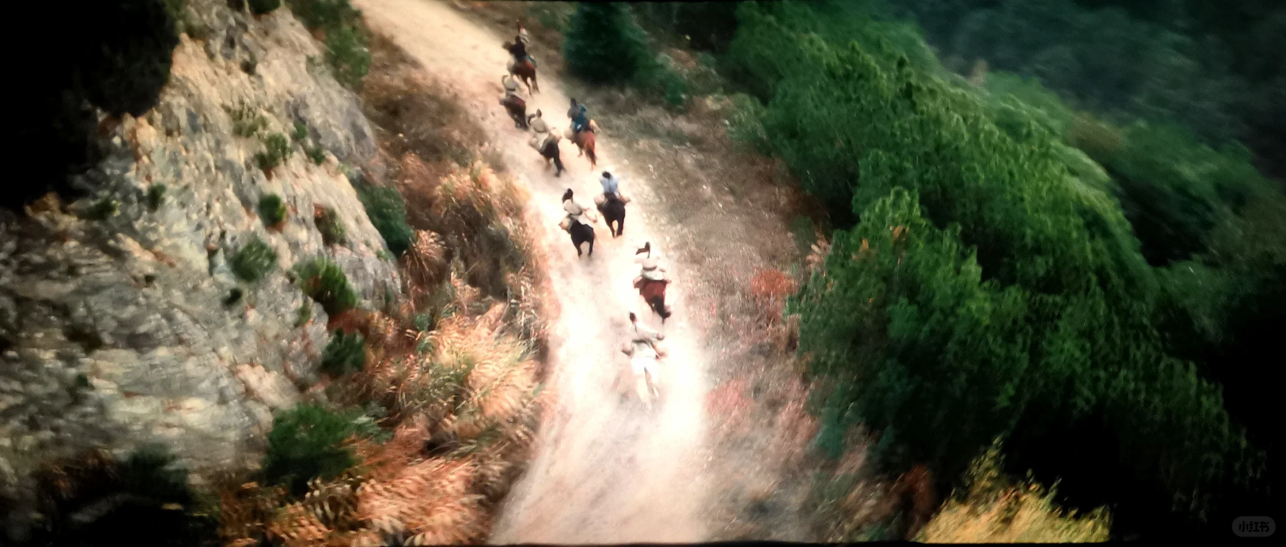 《长安的荔枝》杂感（原著与电影对比篇）