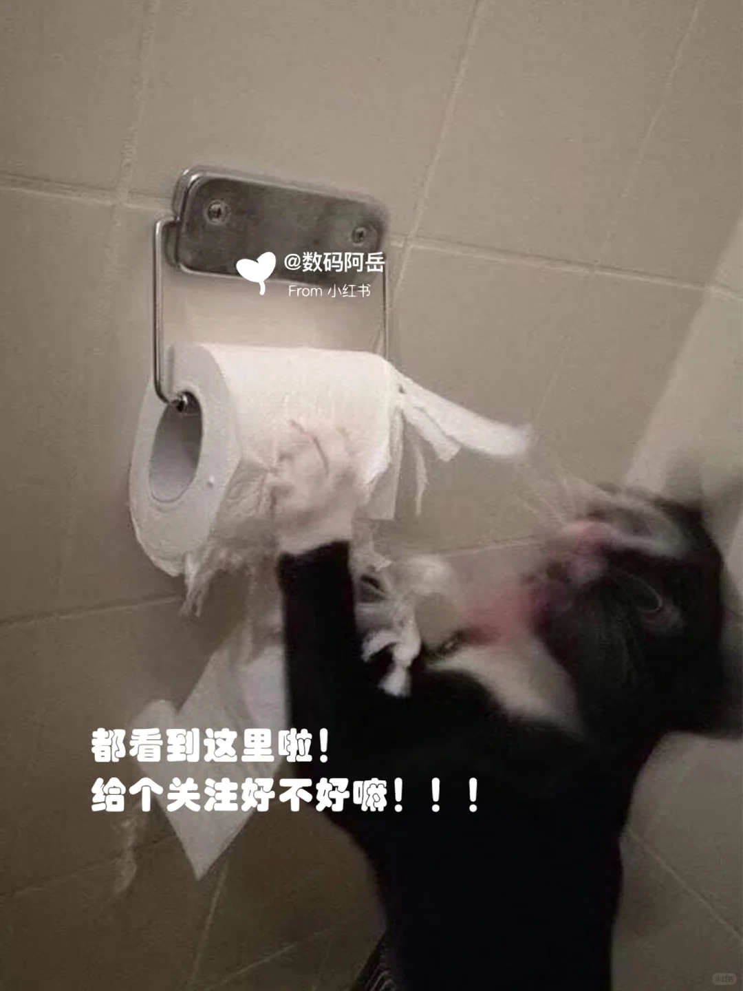 iOS16.4.1升级后9个重大变化！新功能超好用