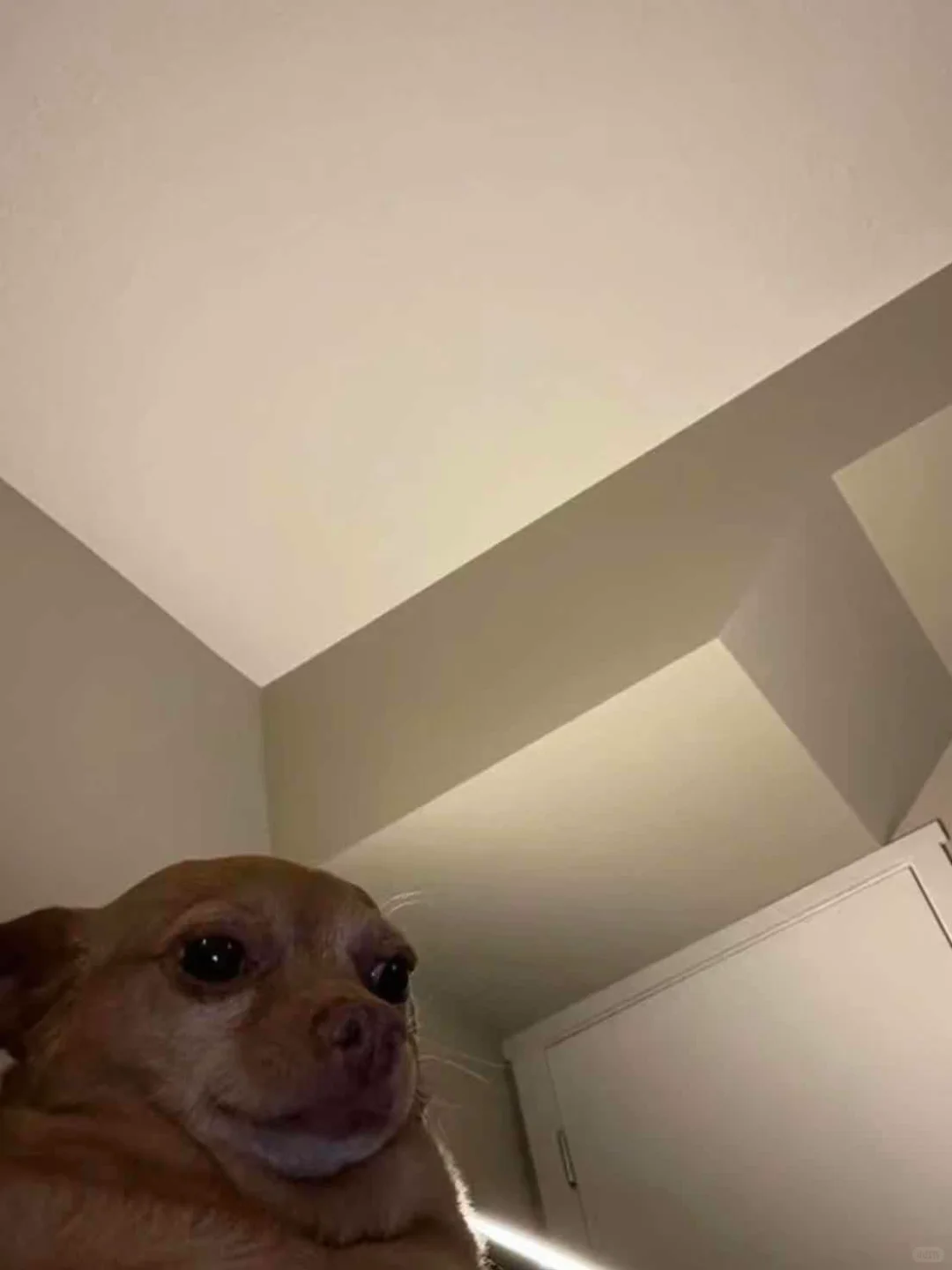 🇬🇧来英国前一定要提前下好这些APP