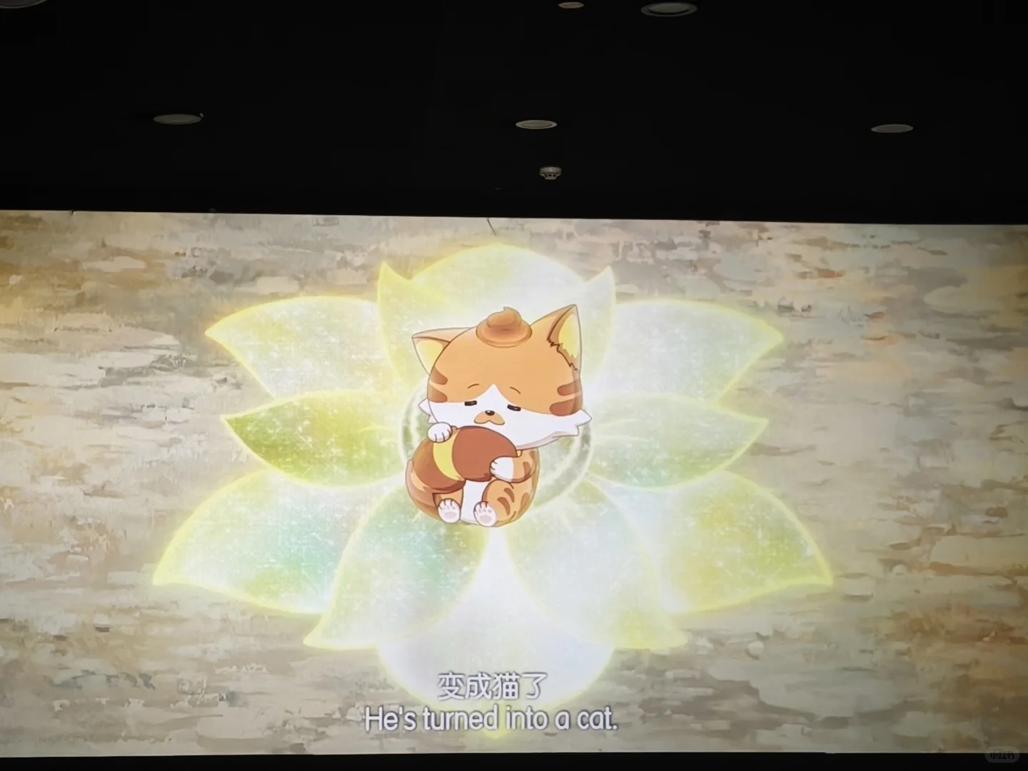 喜灰大电影已看｜反转再反转