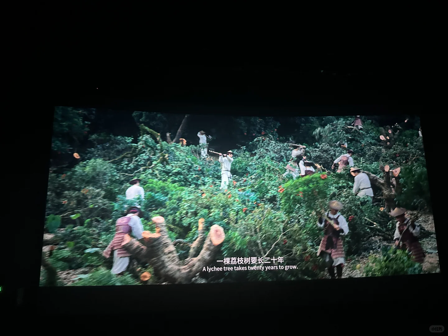 长安的荔枝-一部古代职场真实写照