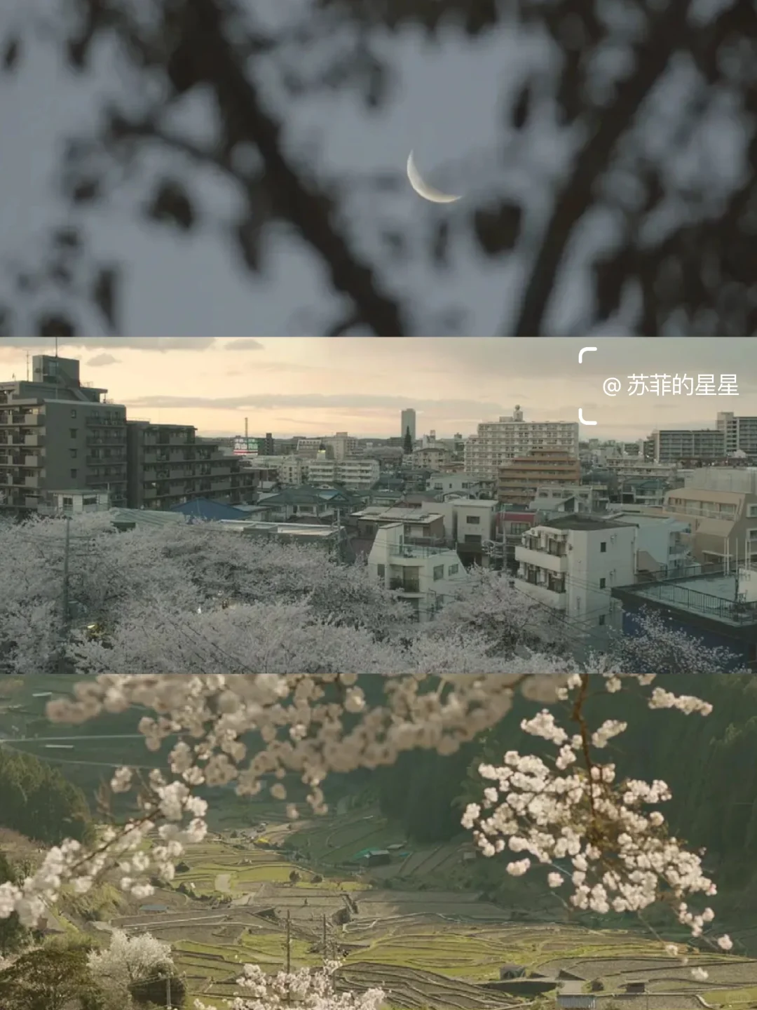 哭到泪崩😭今年看过最好看的电影❗❗❗