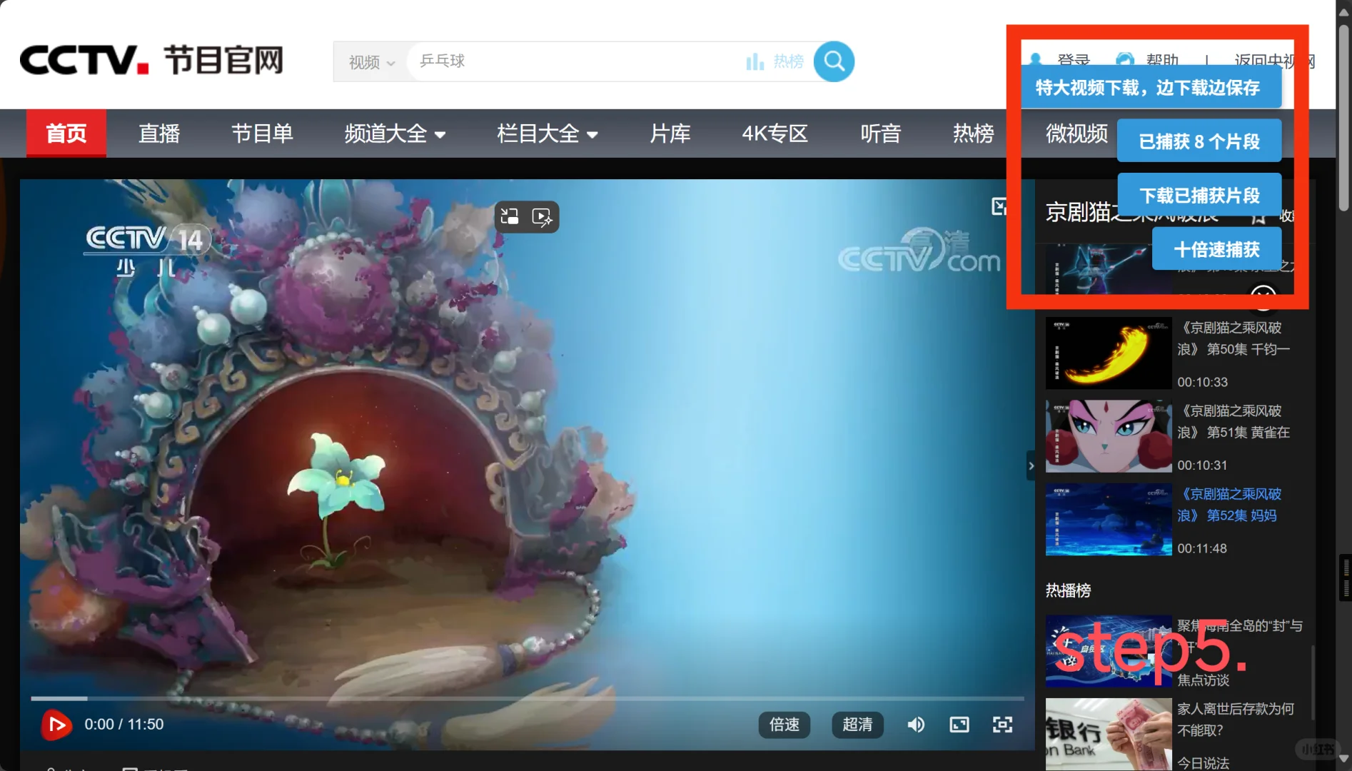 CCTV视频下载教程