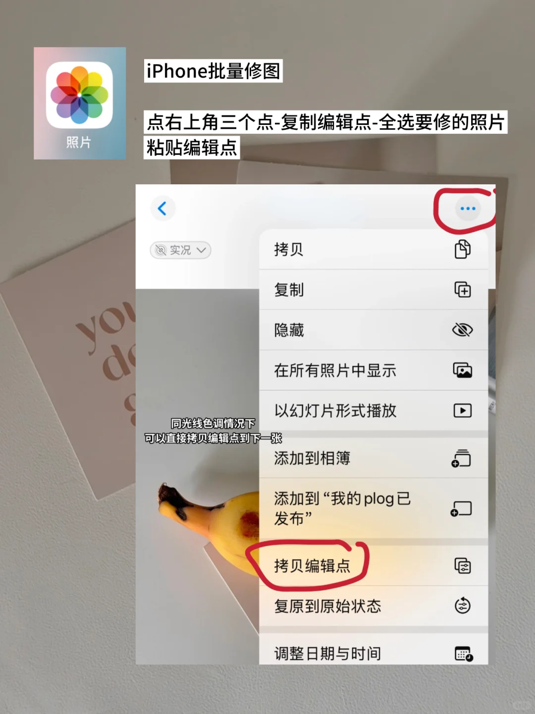 📈1000+ | 新人博主必备的plog修图软件🔥