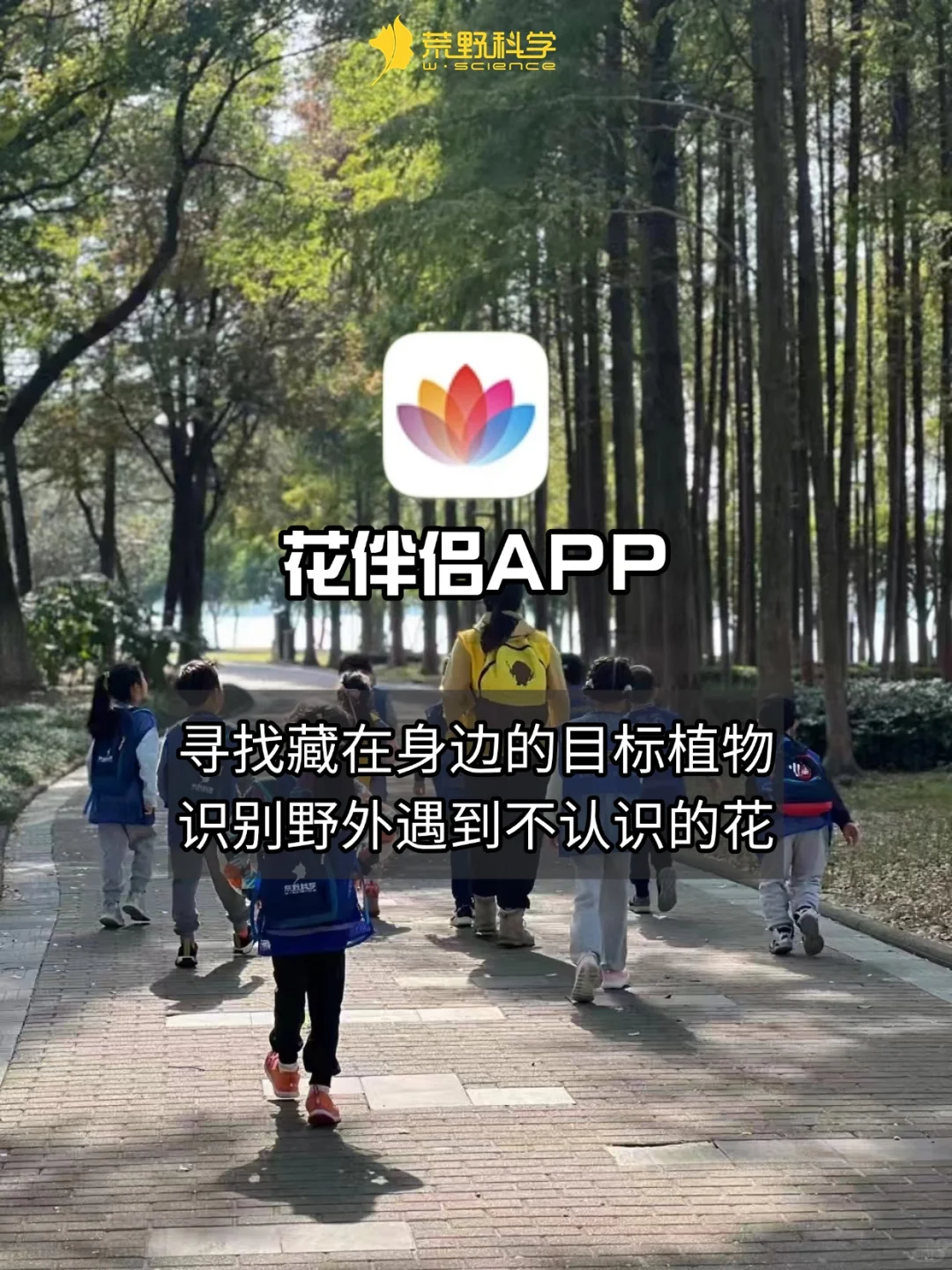 用对APP✅每次户外遛娃都是自然科学启蒙！