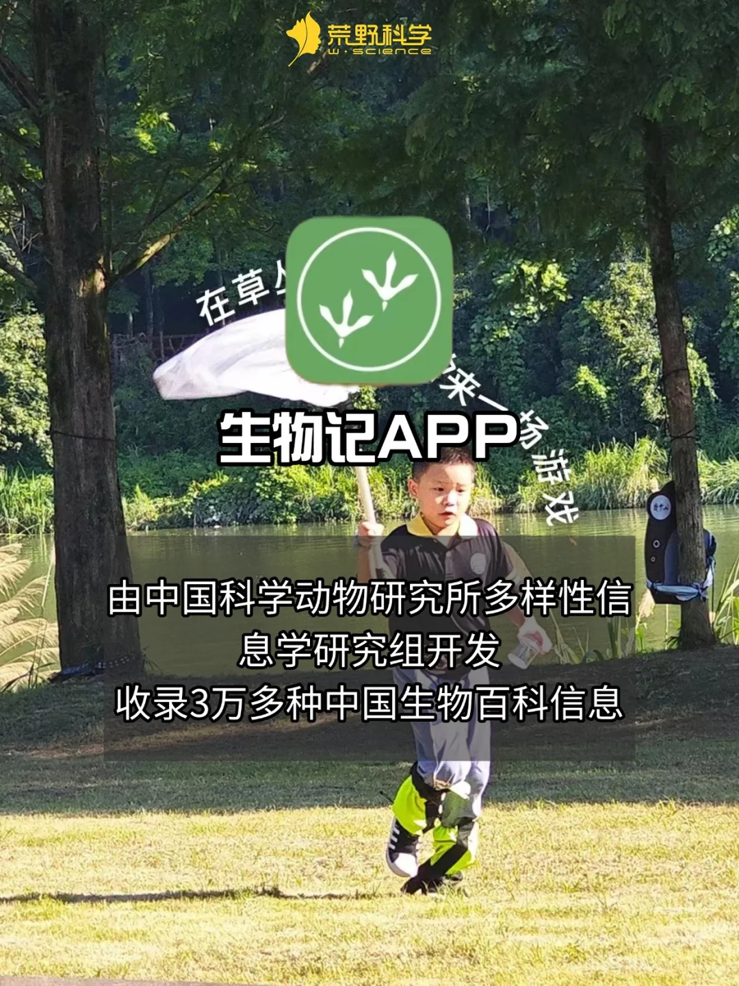 用对APP✅每次户外遛娃都是自然科学启蒙！