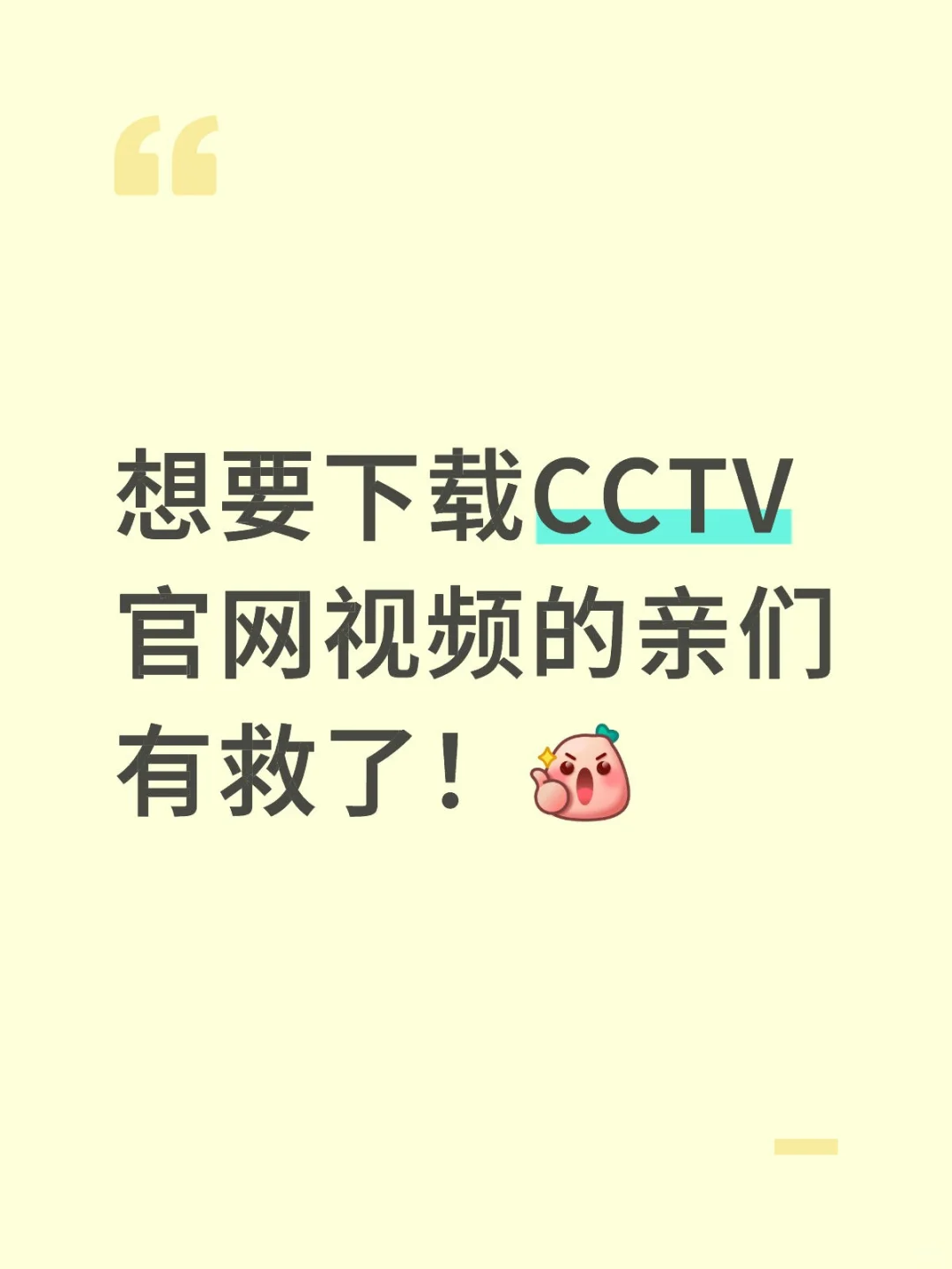CCTV视频下载教程