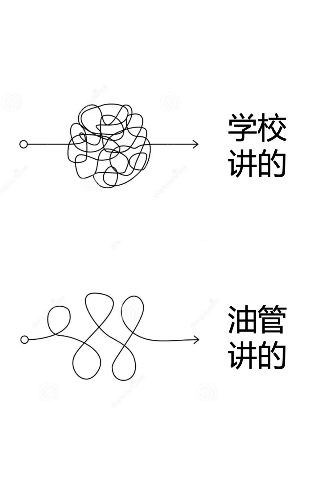 希望所有计算机同学都知道10个宝藏油管博主