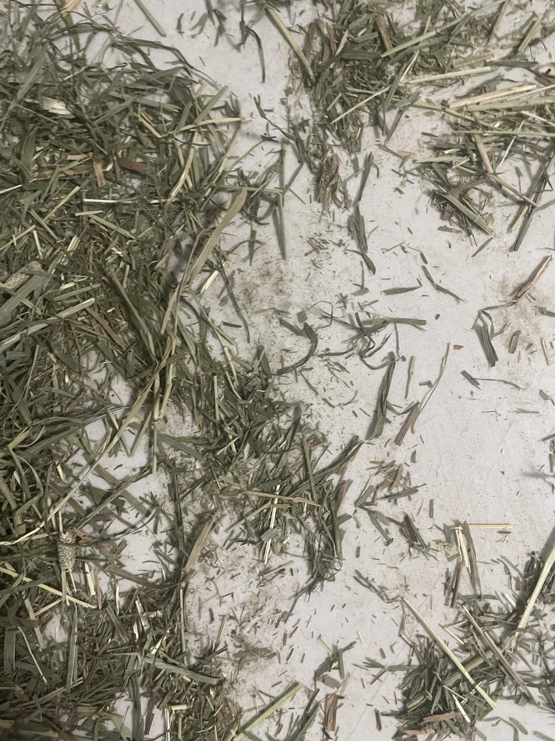 避雷怪兽盒子发错货，态度恶劣