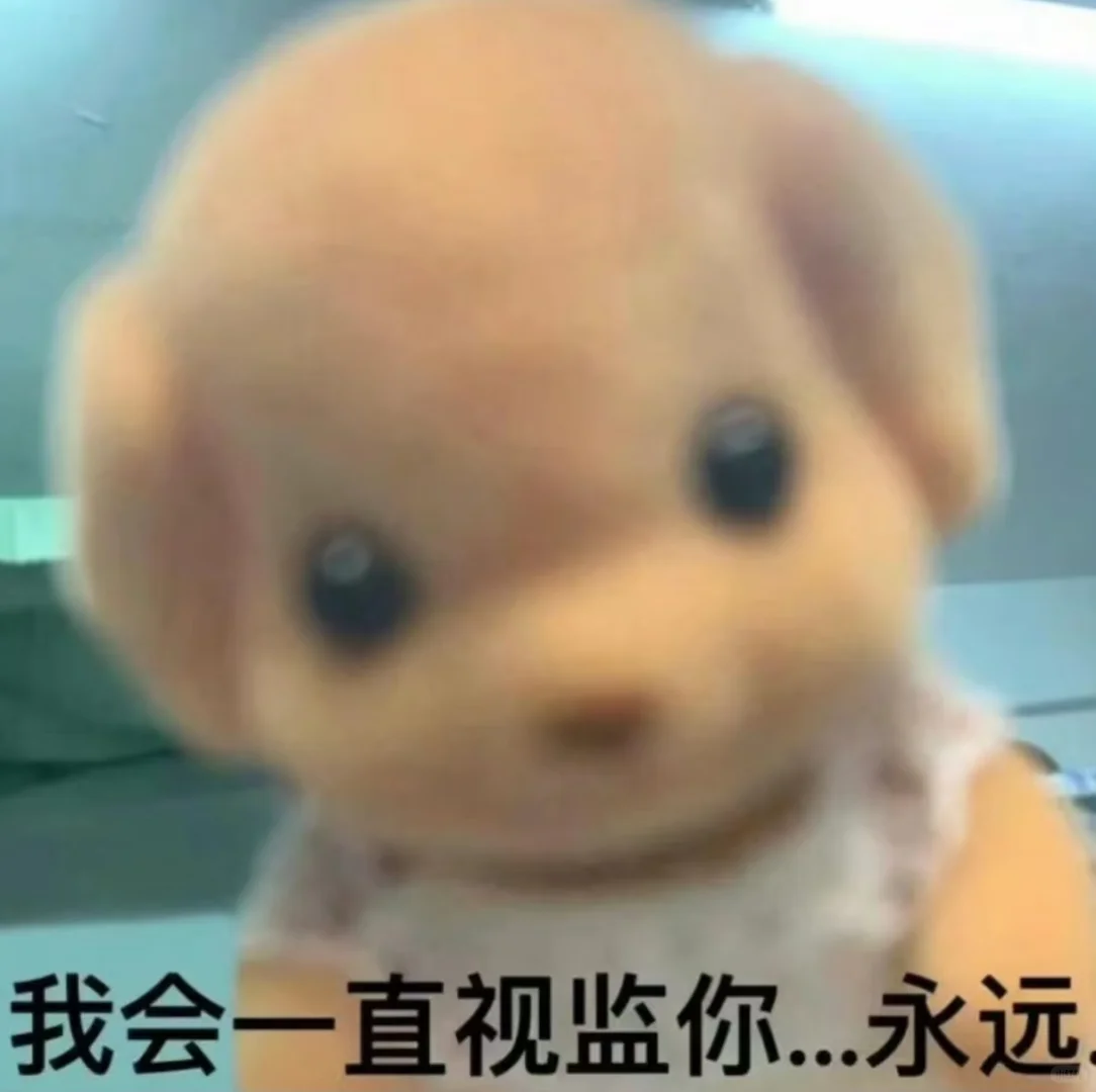 史上最全视监攻略