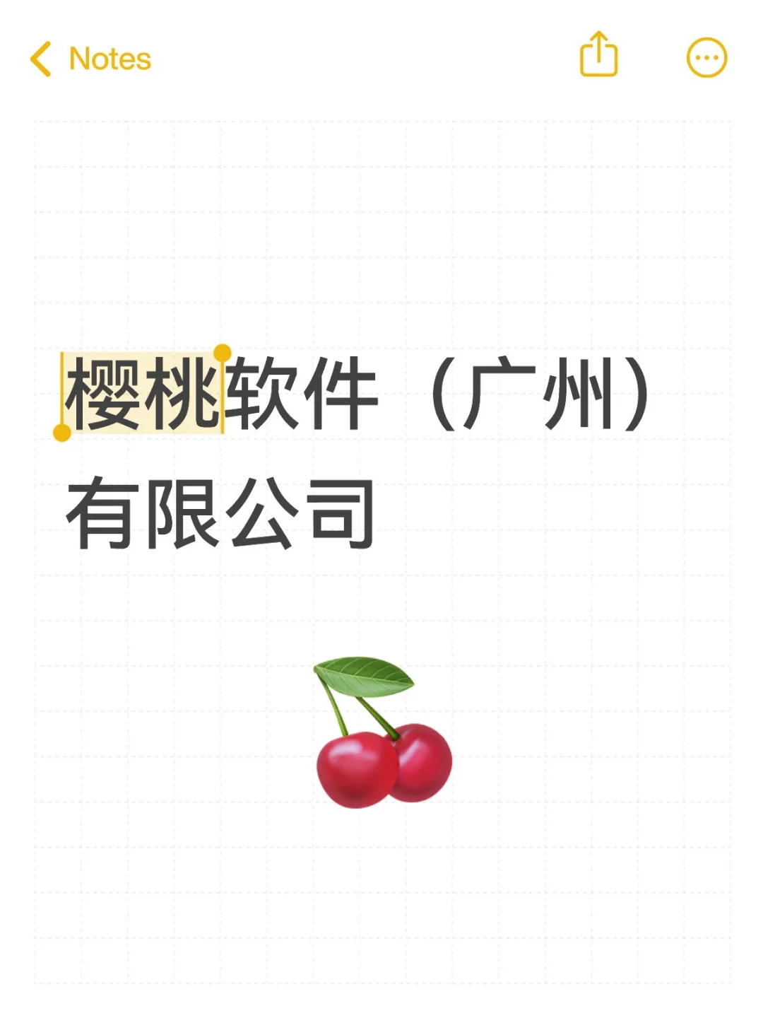 樱桃软件（广州）有限公司