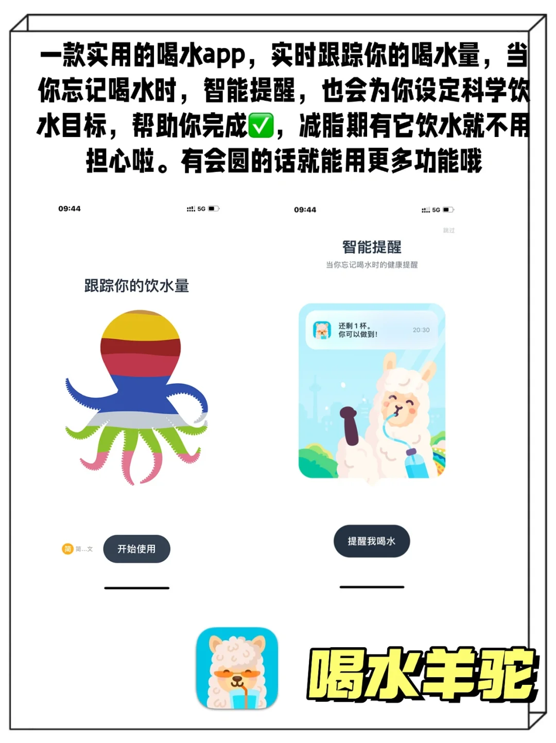 免费分享6款好用的减脂相关APP