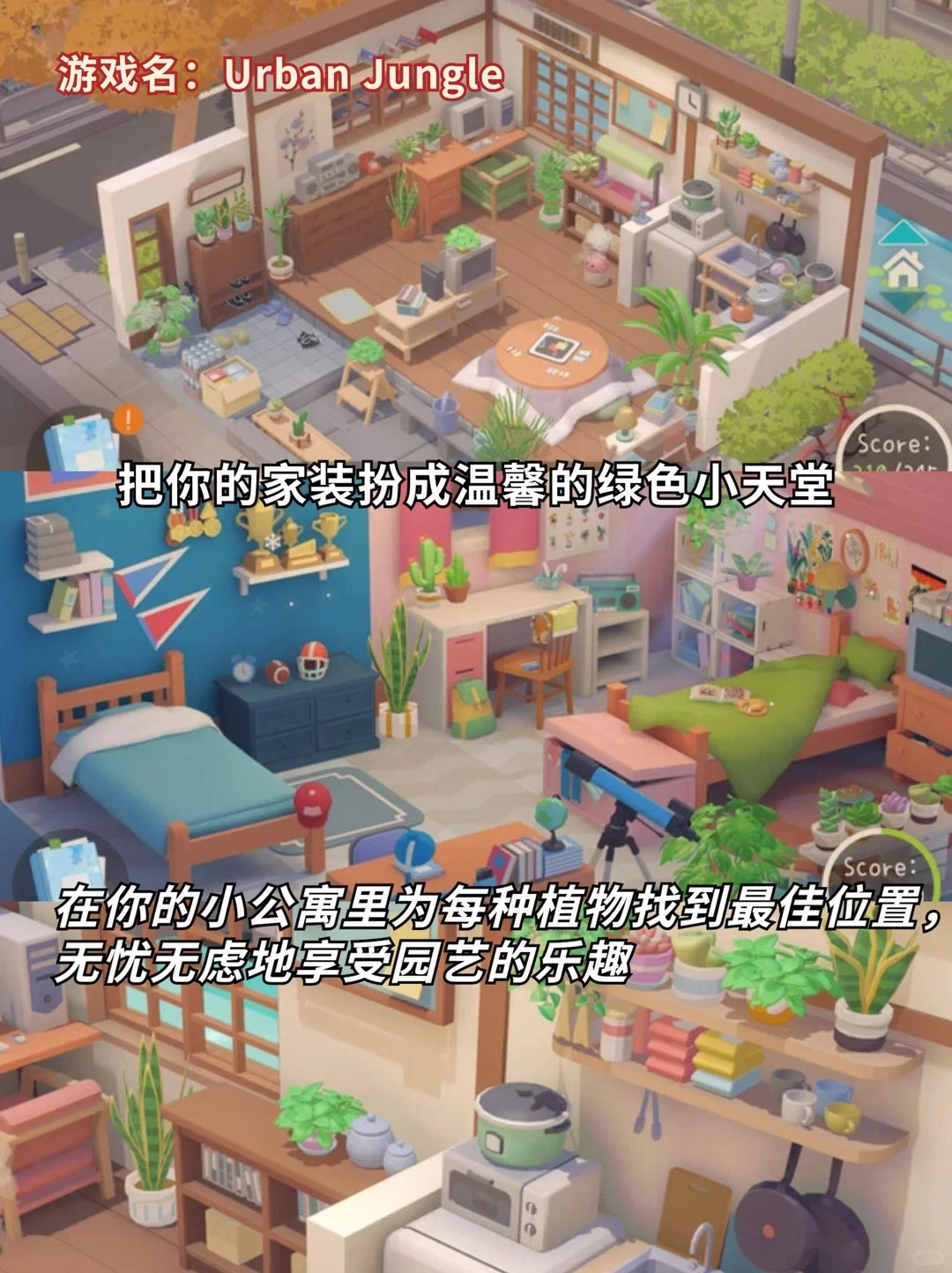 所有人听我号令🤩都去玩这几个游戏