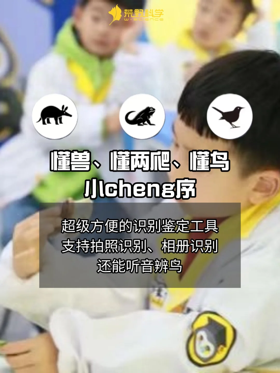 用对APP✅每次户外遛娃都是自然科学启蒙！