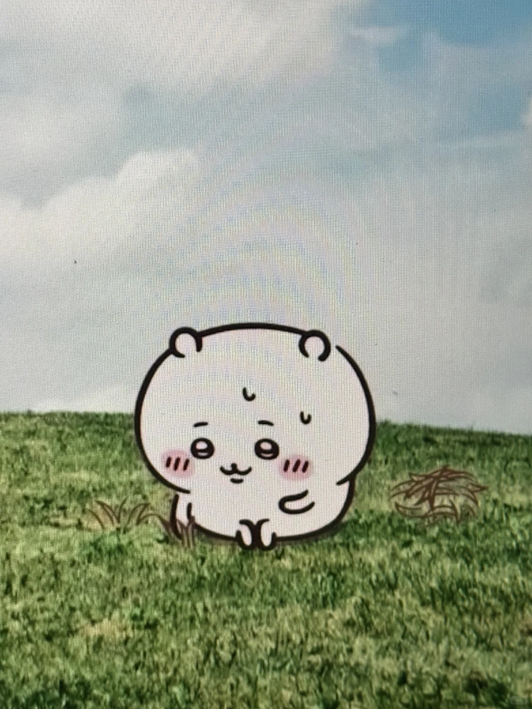 好可爱‼️吉伊宝宝在我的笔记本桌面拔草🥹