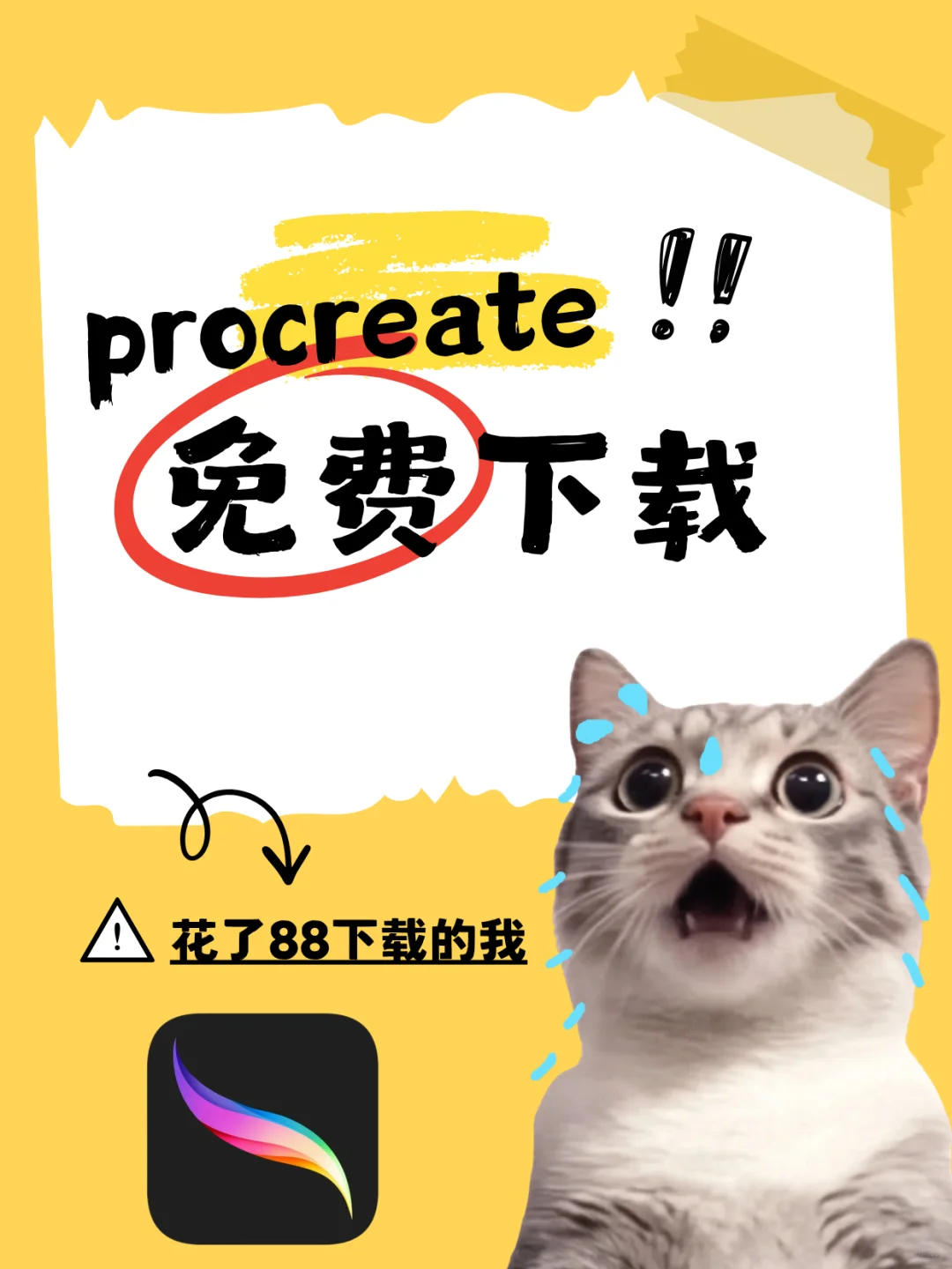 Procreate免费装了！白花88的我哭晕😭