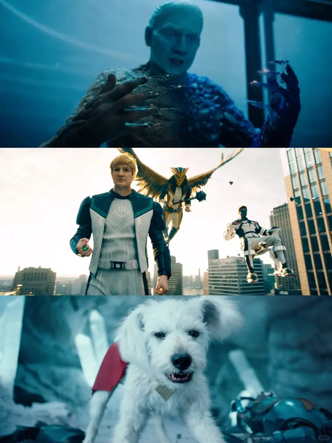 绝了❗️🆘近期看过坠过瘾的电影❗