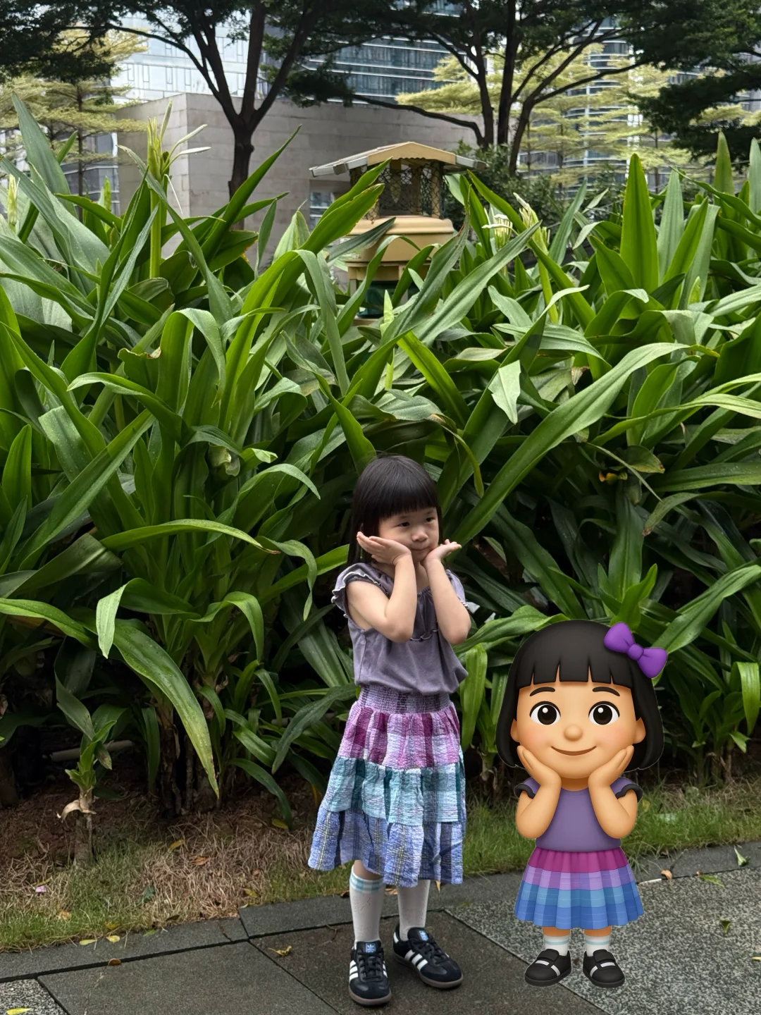 哈哈 可爱吧🥰