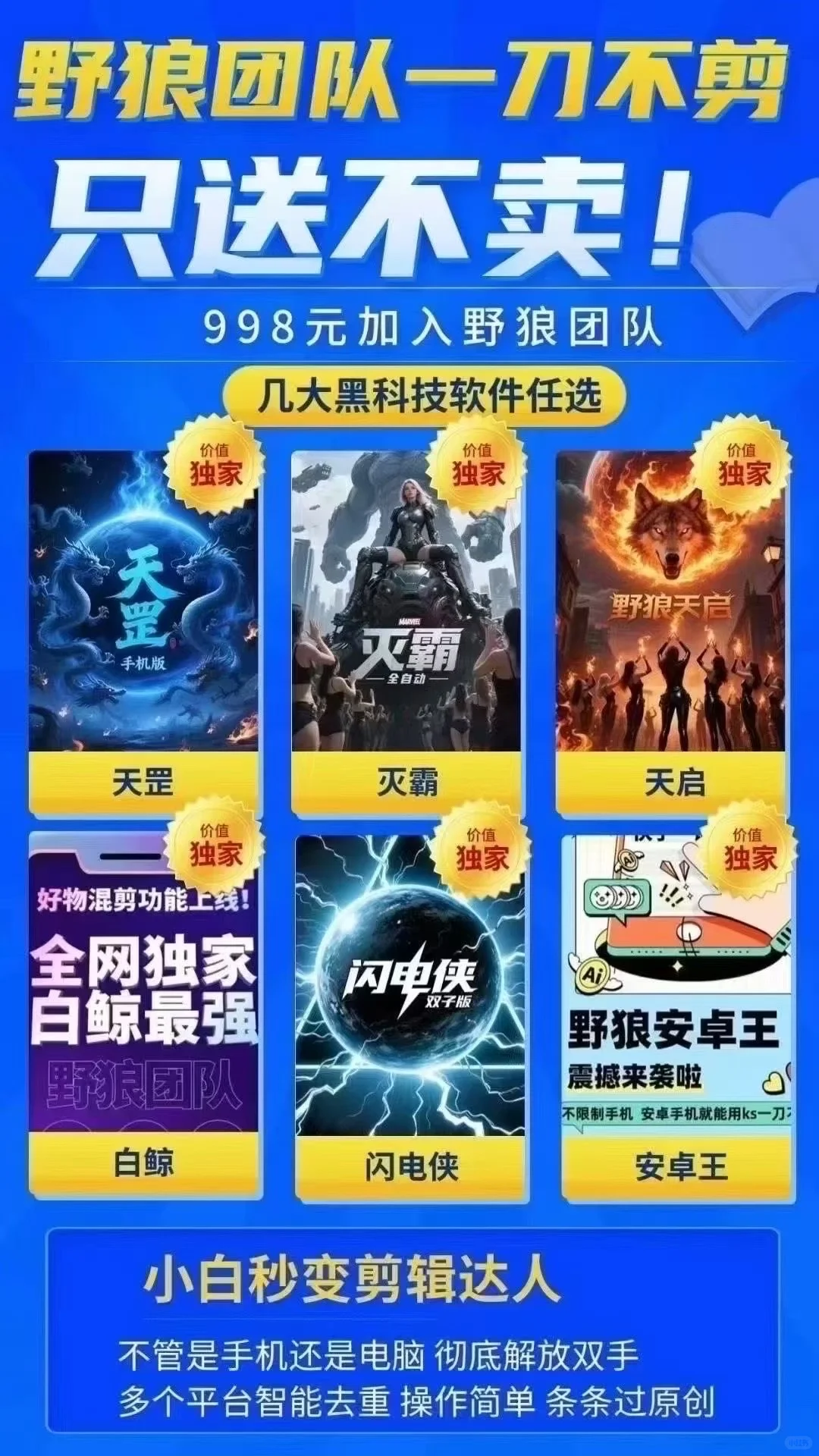 野狼团队 好不好用 用了才知道