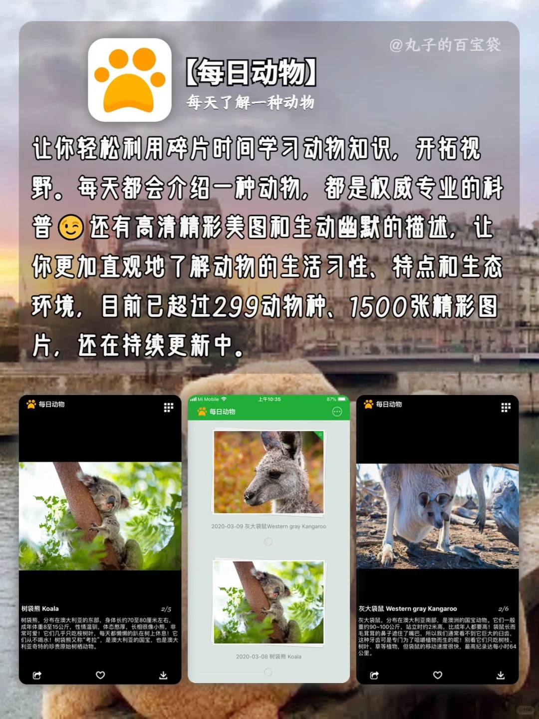 用过才觉得真香的日常宝藏APP🐣