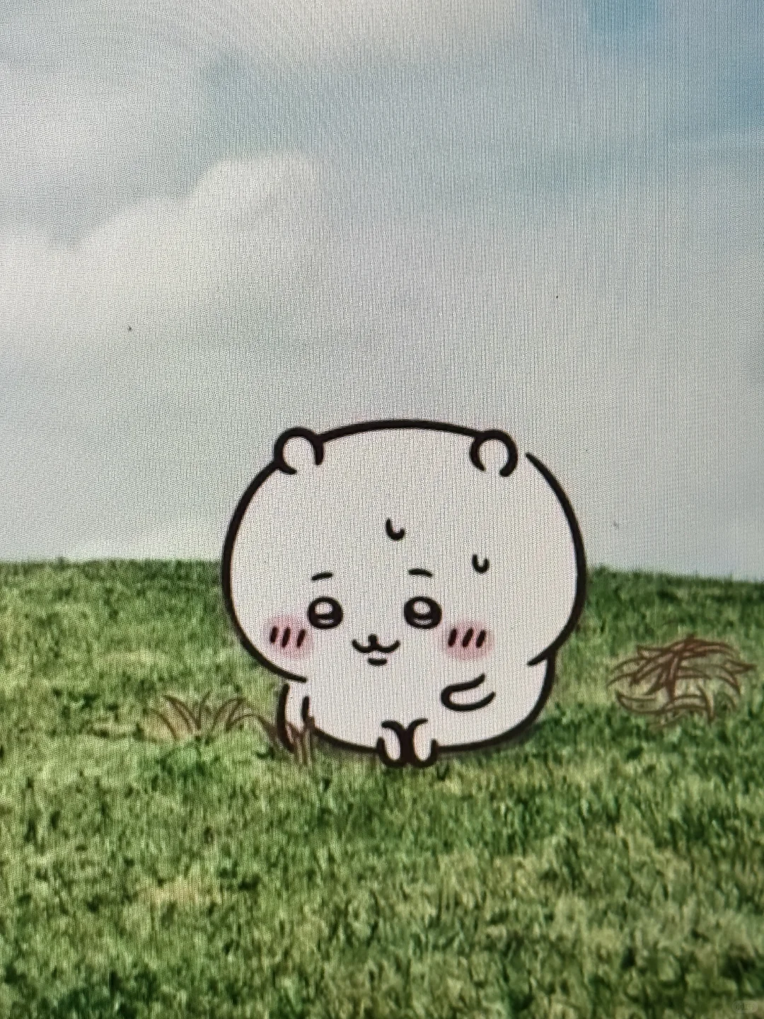 好可爱‼️吉伊宝宝在我的笔记本桌面拔草🥹