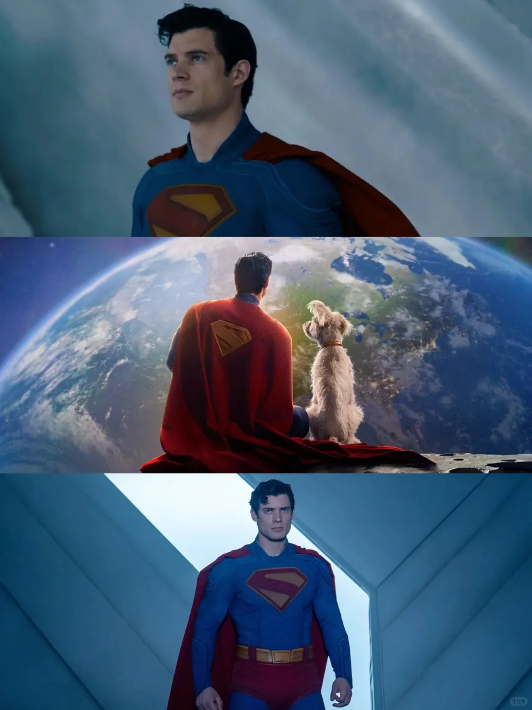 绝了❗️🆘近期看过坠过瘾的电影❗