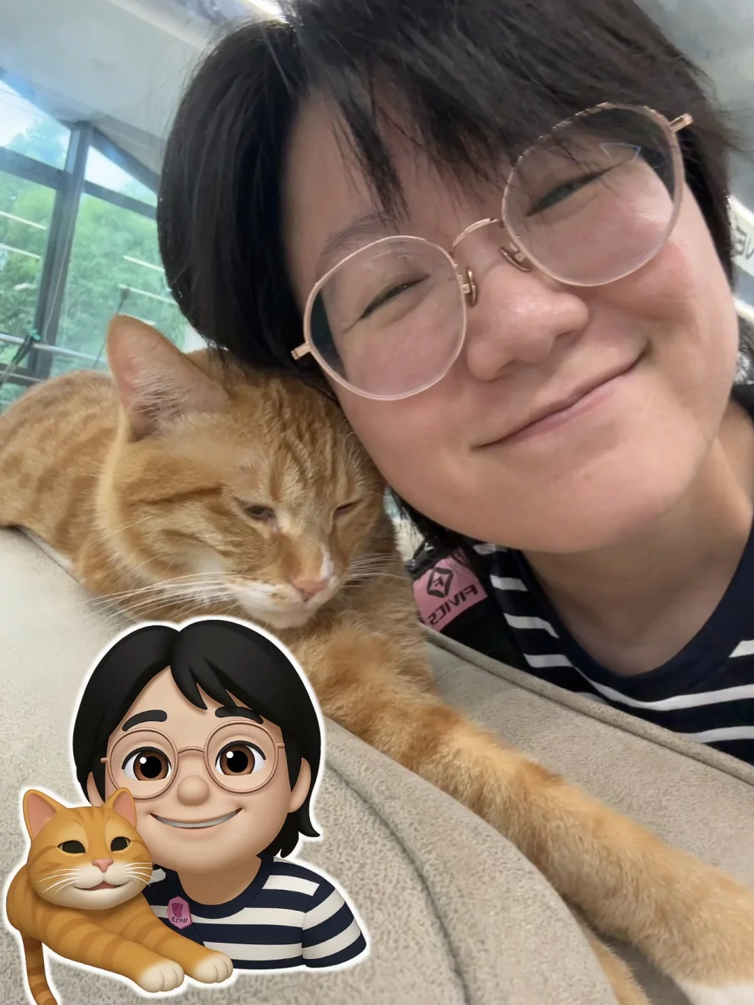 get到表情包贴纸了！roboneo的更可爱还会动