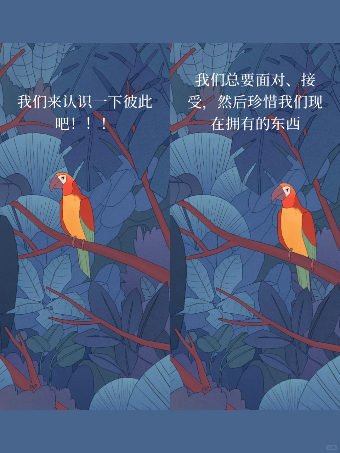 社恐必备神器，一款有趣温暖治愈的App