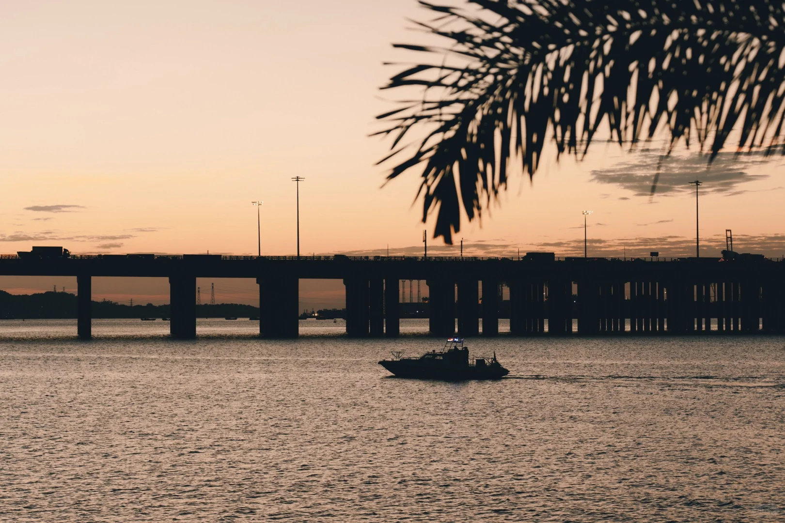 安卓和鸿蒙的dazz终于来了！