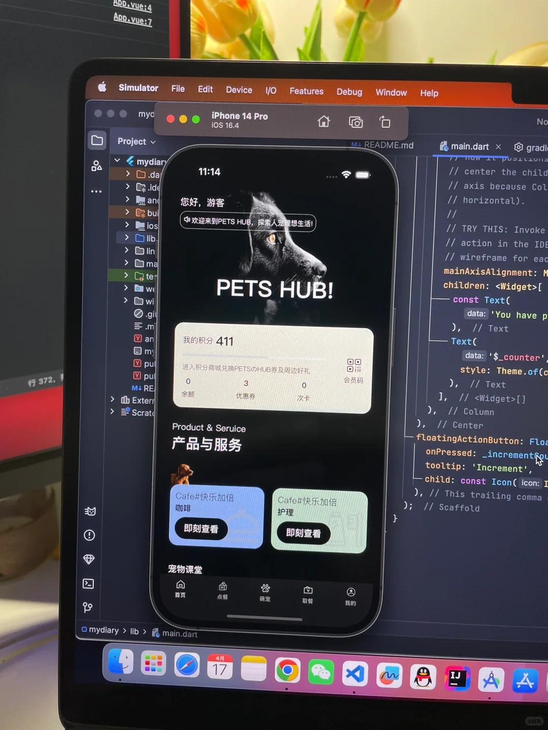 七天手撸小程序开发，我骄傲了吗