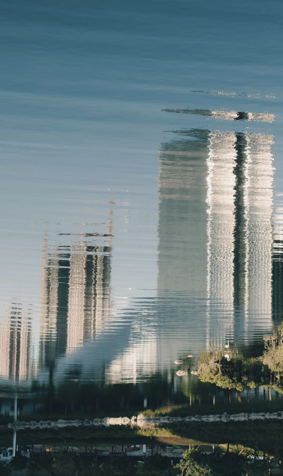 安卓和鸿蒙的dazz终于来了！