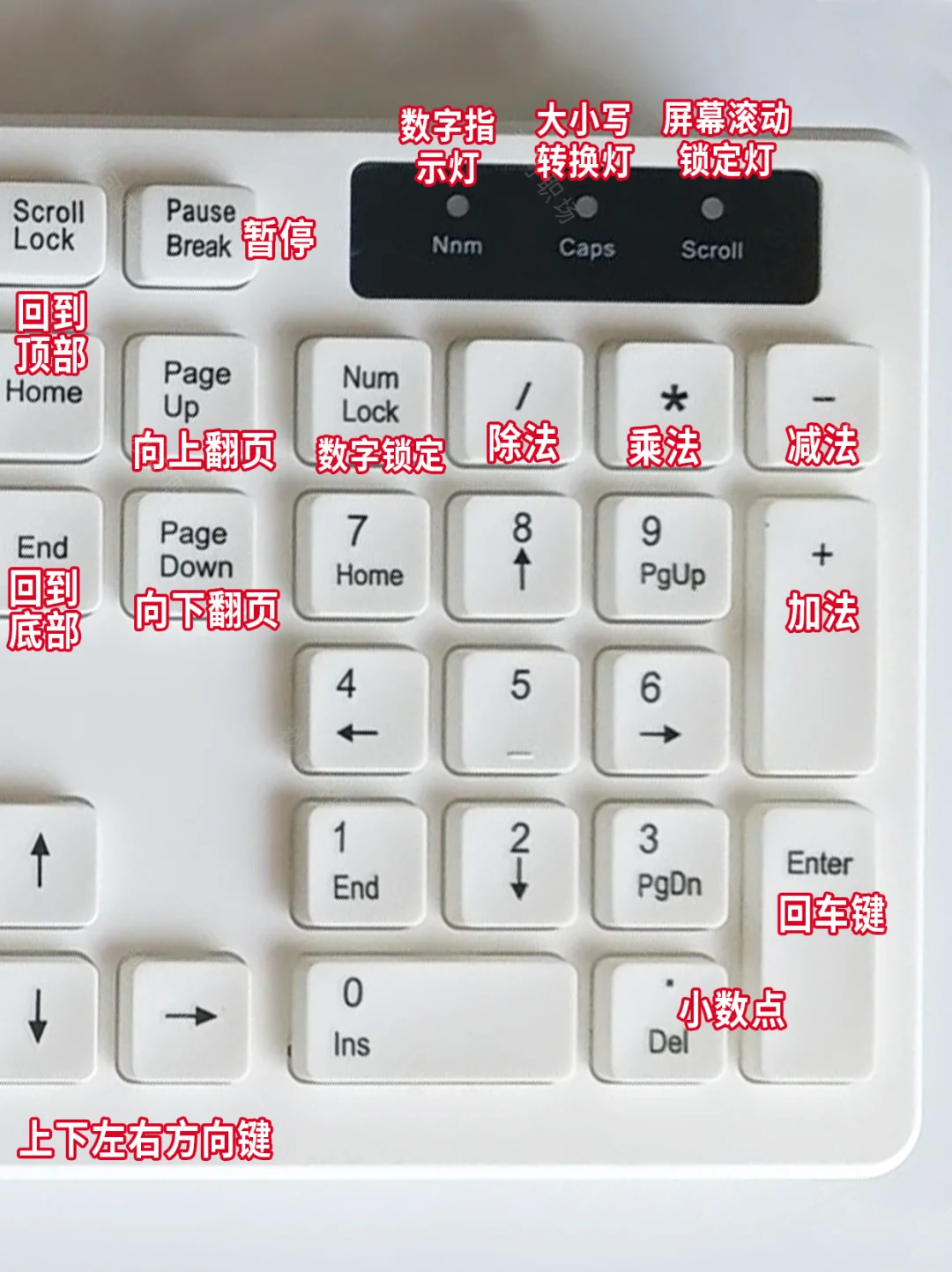 😭这个太全了吧🥹为什么没人告诉我！！