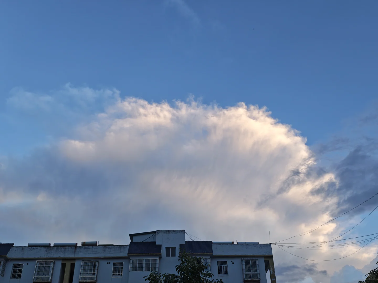 宝藏免费音乐软件 酷狗概念版