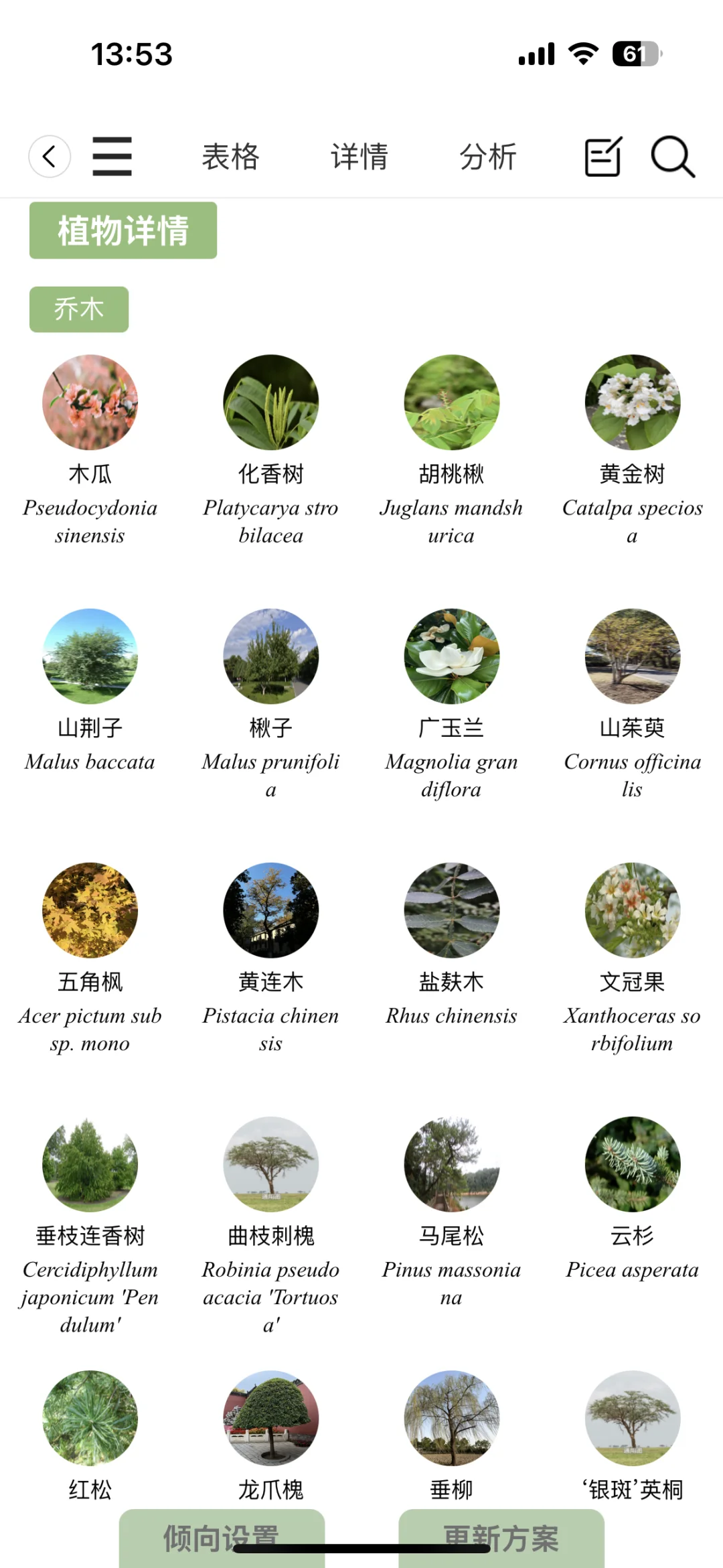 身为景观设计人 一下就被这个工具硬控了🔧