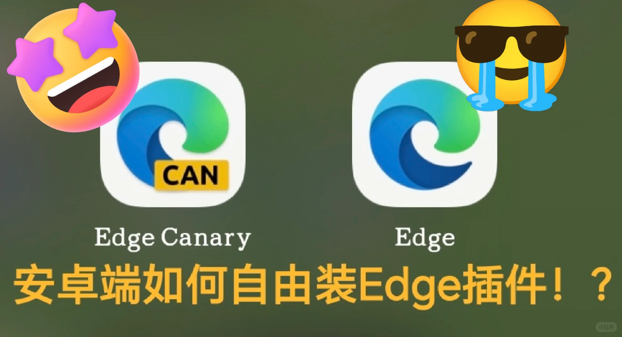 8张图片-教你安卓端Edge浏览器自由装插件
