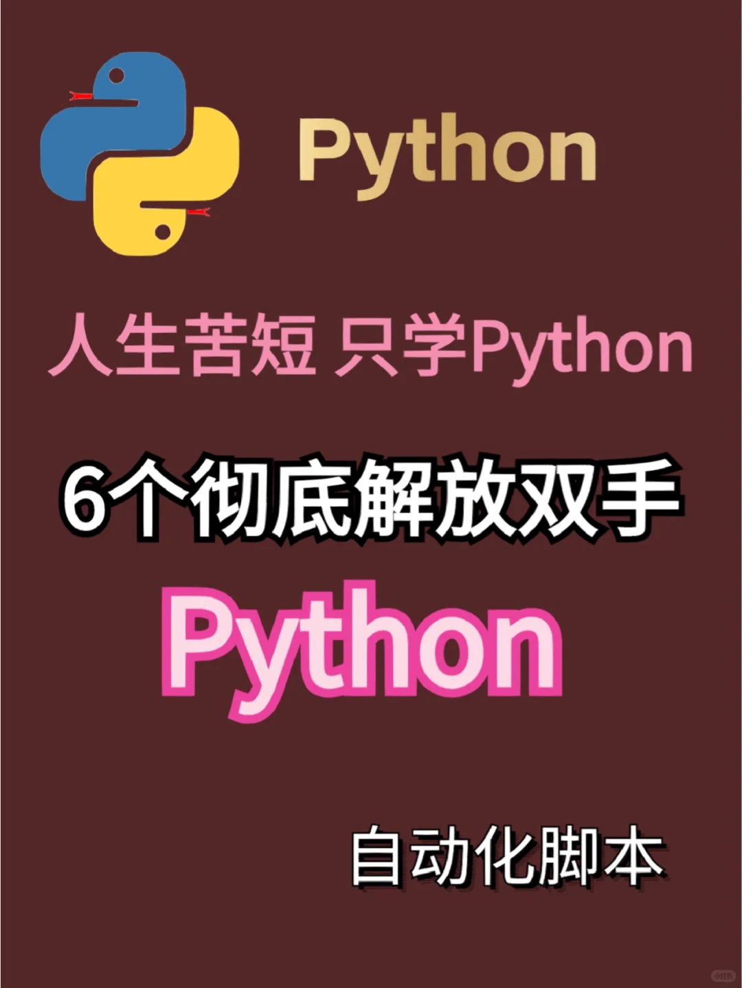 学Python 6自动化脚本彻底解放双手