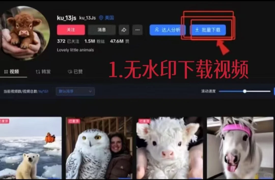 TikTok视频素材搬运剪辑宝藏插件‼️‼️‼️
