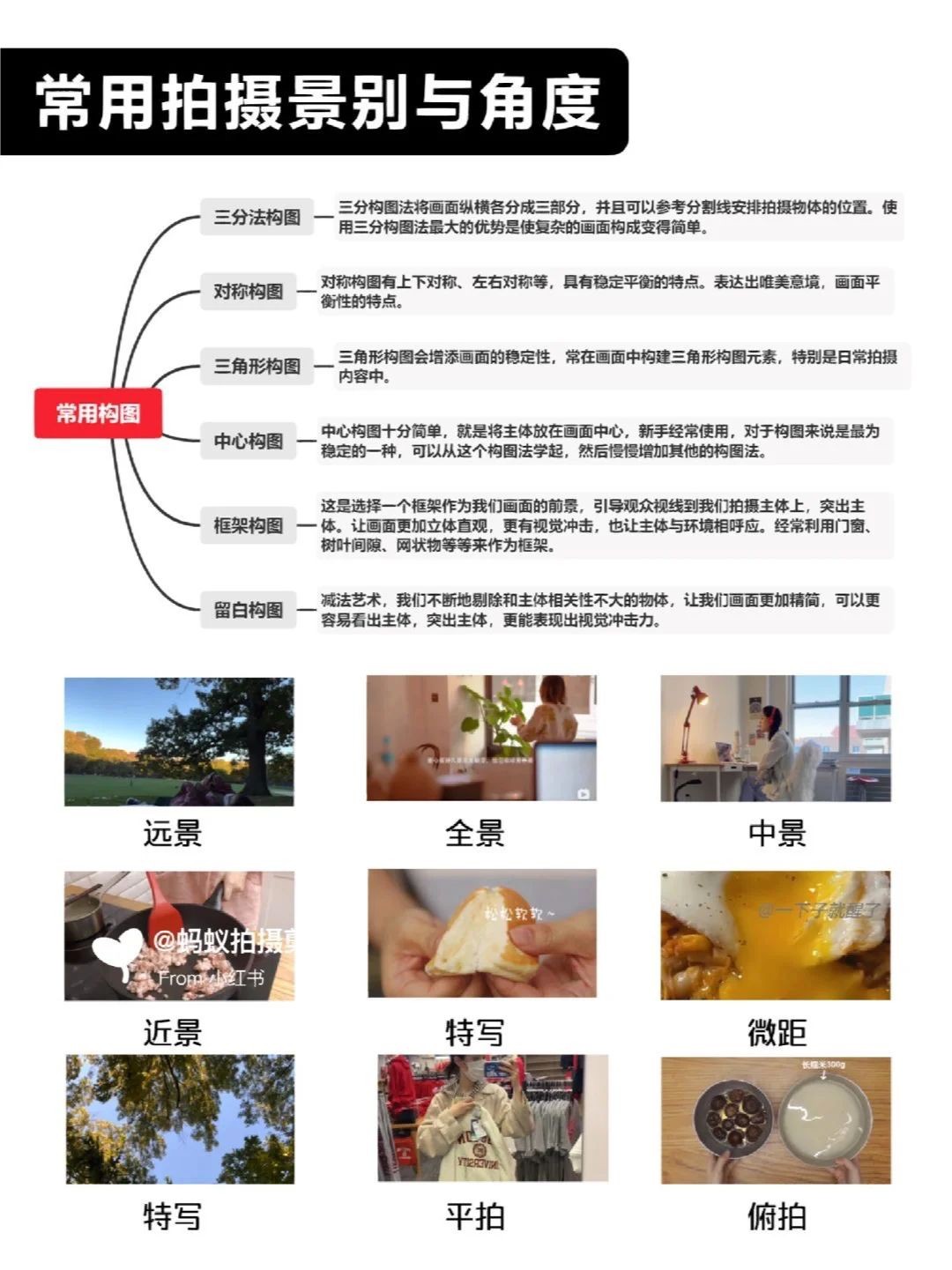 谁不会写脚本啊❓｜新手3天速成导演思维