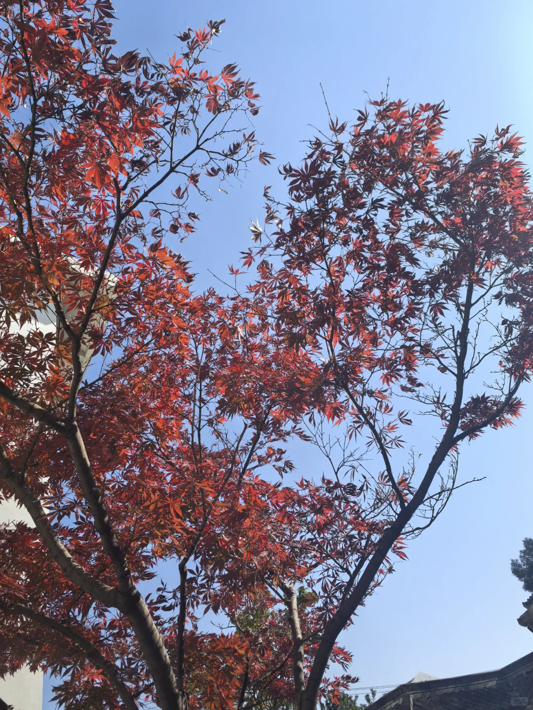 记录:源码编译thingsboard并部署到阿里云