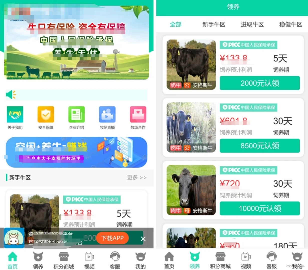 牧场养牛区块链分红 理财源码