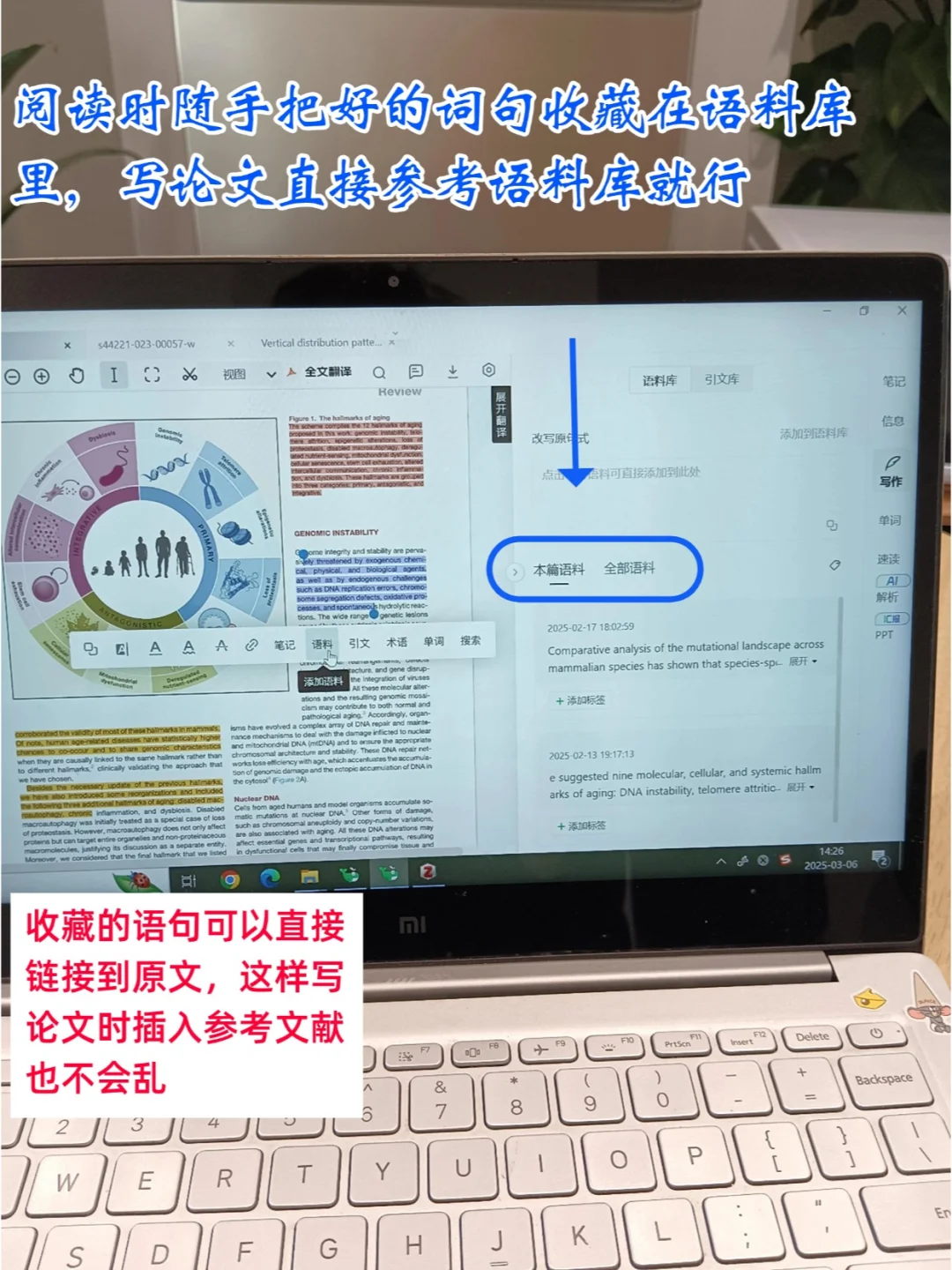 博一| 成功驯服zotero+小绿鲸，轻松读文献