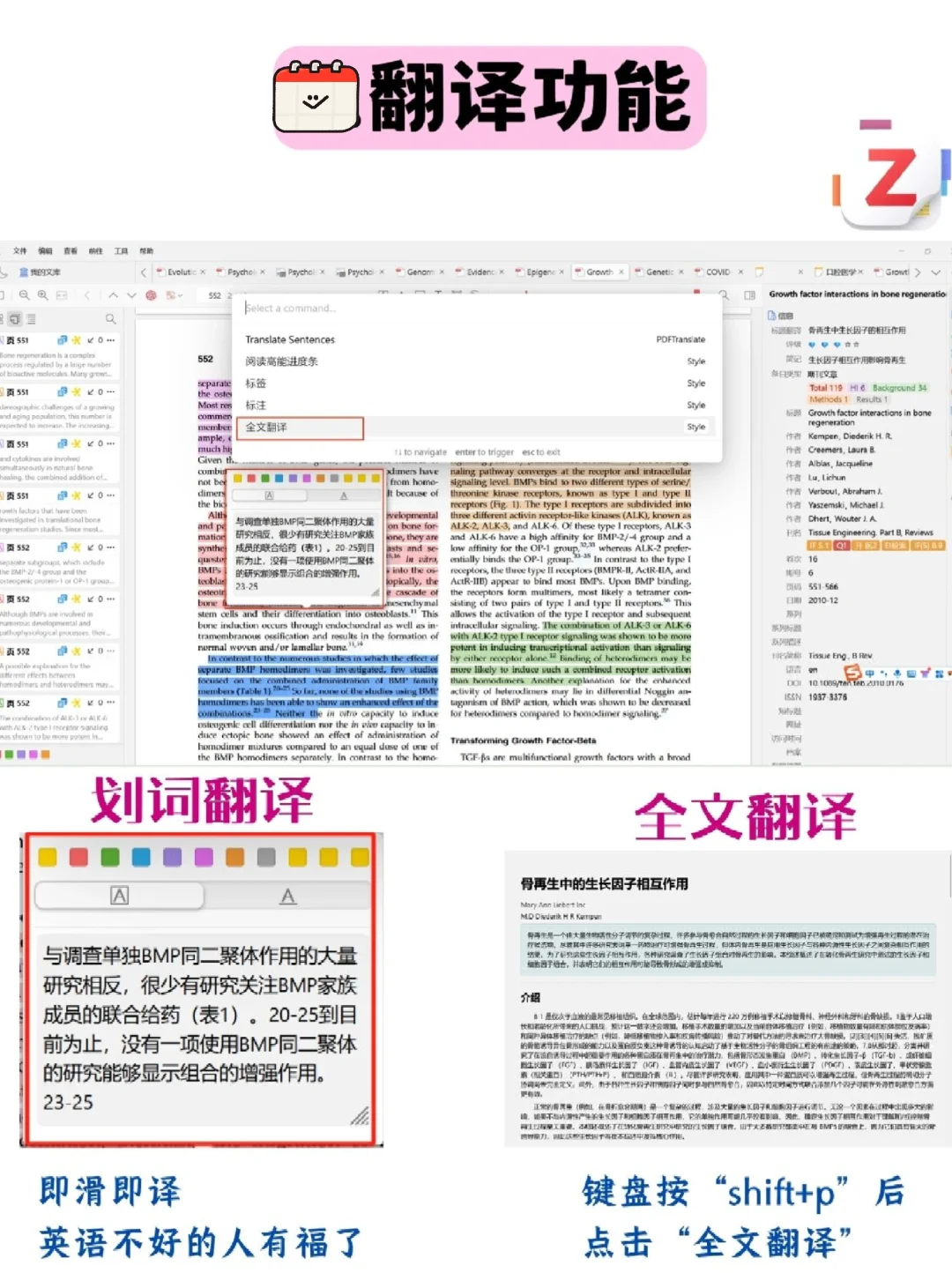 Zotero插件配置完成✅打造智能文献管理系统