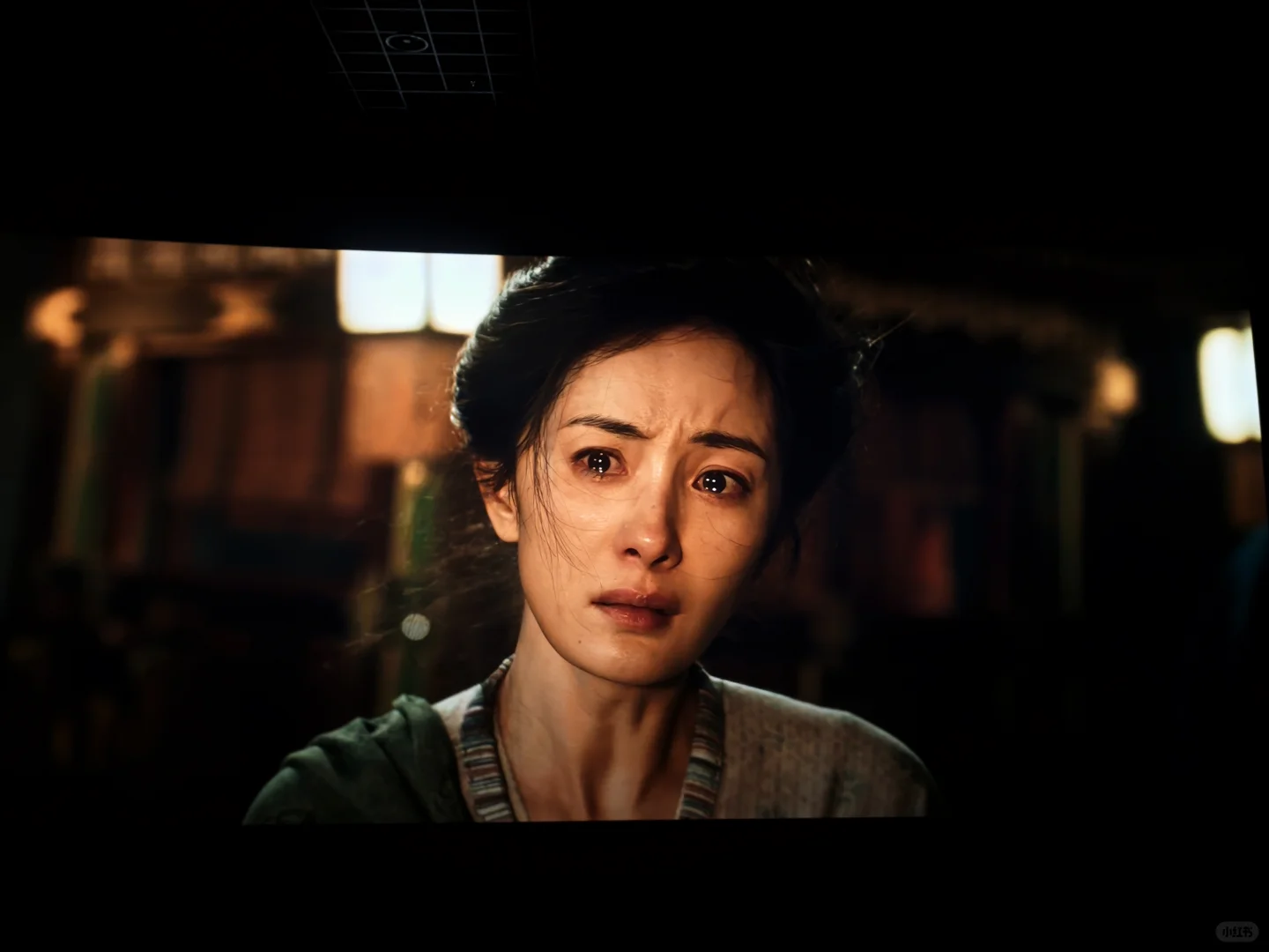 长安的荔枝观影